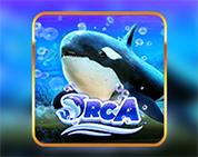 Orca